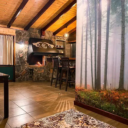стара Apartment Vorokhta